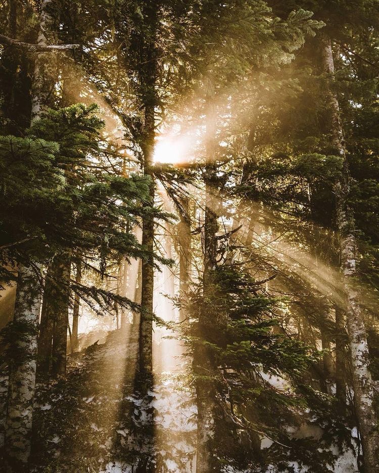 The Miracle between the Dark and the&nbsp;Light!