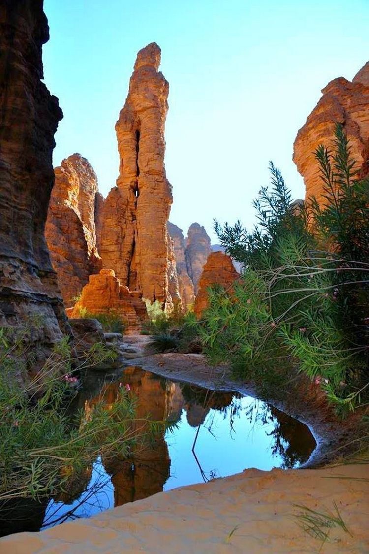 The Power of Waiting: Discovering Your&nbsp;Oasis