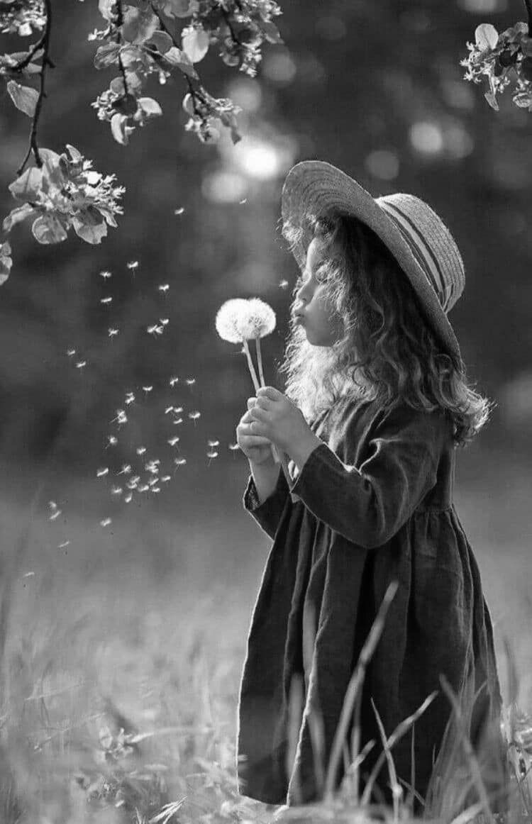 Rediscovering Wonder: Lessons from&nbsp;Kindergarten