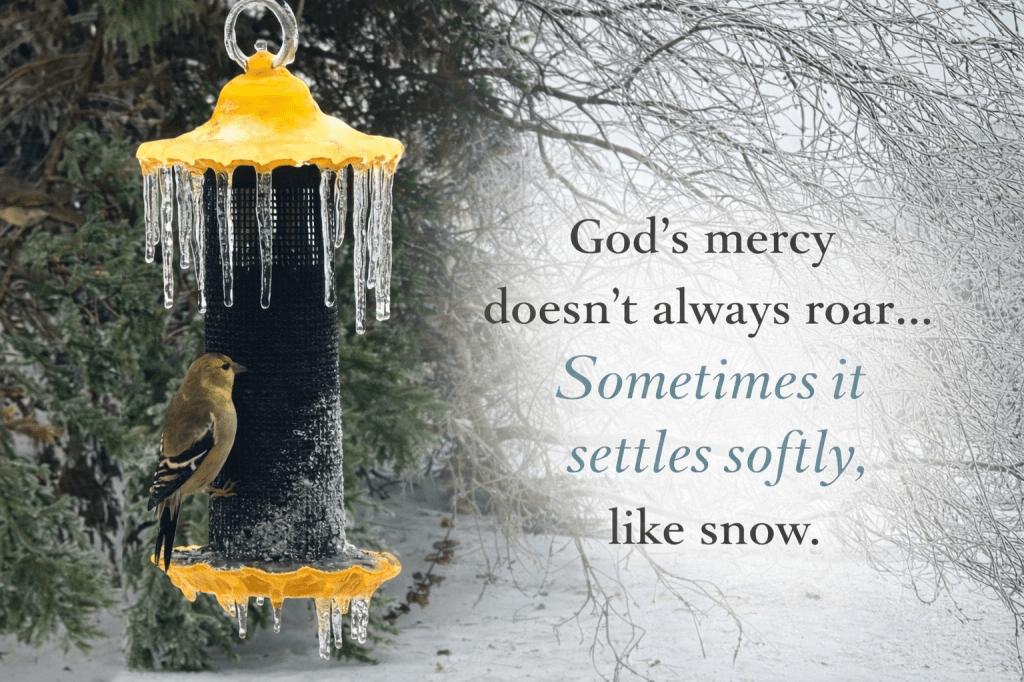 Finding Mercy in Winter’s Stillness